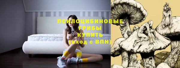 мдпв Корсаков