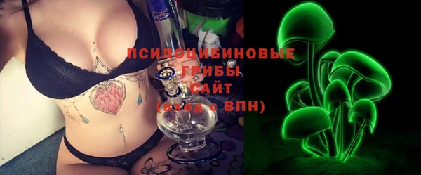 СК Козловка