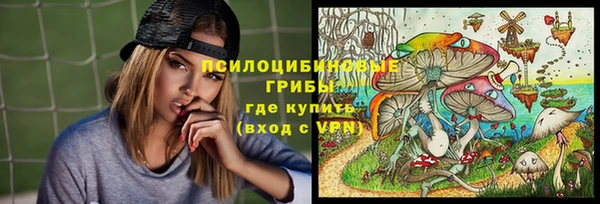 бошки Кодинск