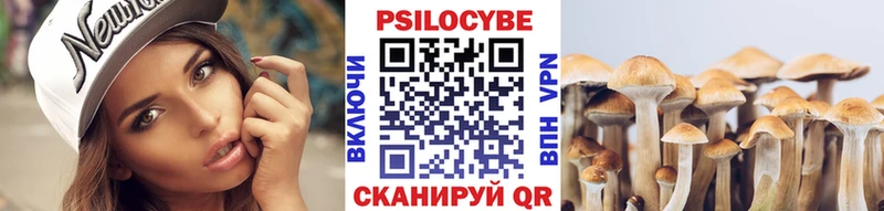 Купить закладки  Нестеров  Псилоцибиновые грибы Psilocybine cubensis 