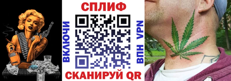 Купить закладки  Нестеров  МАРИХУАНА White Widow 